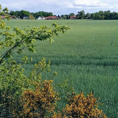 Bei Oparius * 갠더케스