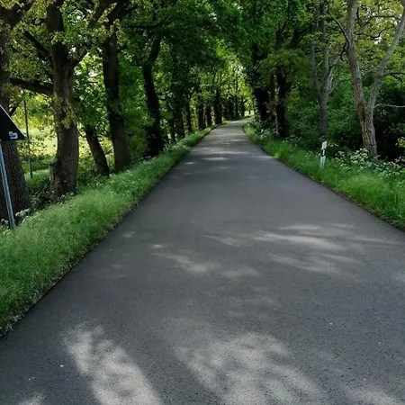 Bei Oparius Daire Ganderkesee